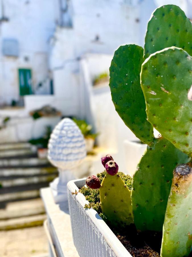 Belle Home Ostuni Vasca Vista Mare Exteriér fotografie
